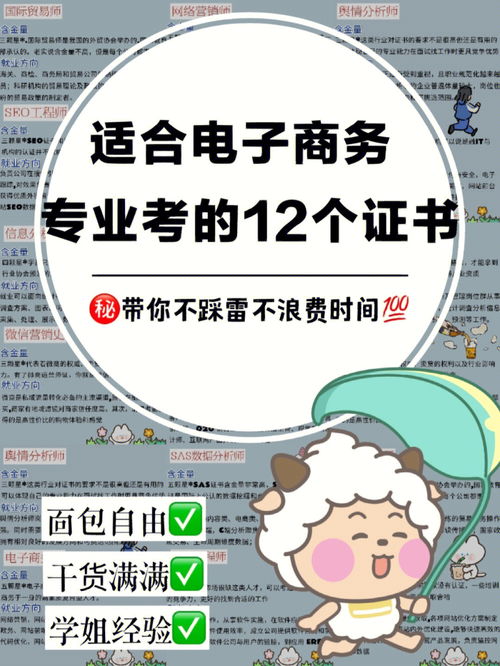 电子商务专业可以考监理