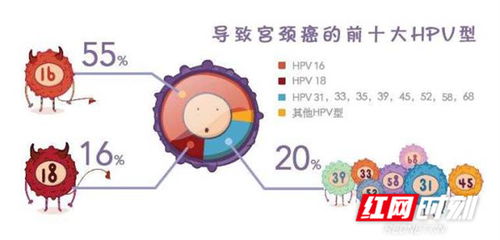 多数人感染HPV后两年内可自愈，了解与应对