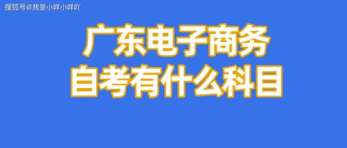 电子商务专业考公