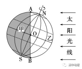 砂糖橘上的小洞，探究其成因与意义