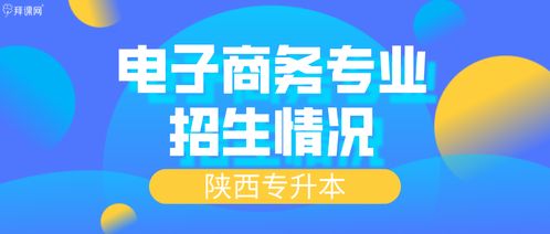 电子商务专业招生方案