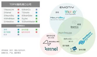 中国植入式脑机接口最大一笔融资诞生的背后