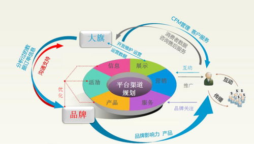 电子商务专业怎么提升