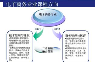 电子商务专业方向代码