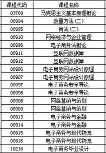 电子商务能报考哪些专业